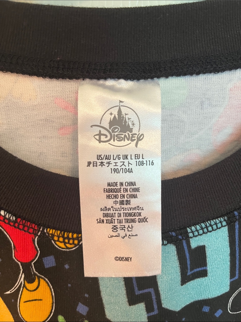 NWT Disneyland Resort Character 2025 Sweatshirt - Picture 3 of 7